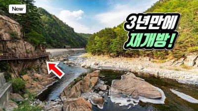 경북 봉화 승부역 트레킹 가볼만한 곳, 대중교통 당일치기 여행 비경 트레킹 코스 갈만한 곳 추천 정보[슬기로운캠핑생활]