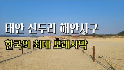 태안 여행 가볼만한 곳, 국내 유일의 신비한 모래 사막 신두리 해안사구 신두리 해변 정보, 충남 태안 갈만한 곳 여행지 추천 정보