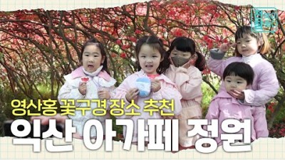 전북 익산 아이들과 함께 가볼만한 곳, 익산 아가페 정원 아름다운 꽃, 메타세콰이어 숲 힐링하기 좋은 곳 6월에 가볼만한 곳 익산 아가페 정원 [전주MBC]