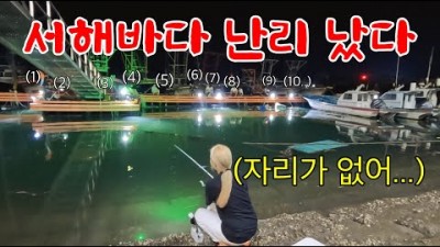 서해 호래기 낚시, 충남 서산 발판 좋은 마량포구 호래기 낚시 포인트 및 조황 정보
