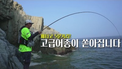 거제도 갯바위 낚시 참돔, 벵에돔 낚시 포인트 및 채비 조황 정보