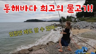 동해 낚시 갈만한 곳, 강원도 고성 방파제 원투낚시 대상어 감성돔 포인트 및 미끼 조황 정보