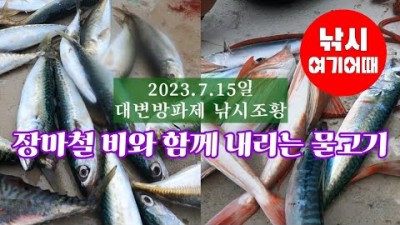부산 기장권 방파제 낚시 가볼만한 곳, 부산 대변방파제 낚시 전갱이 고등어 조황정보, 부산 차박낚시 가능한 대변방파제 정보