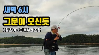 거제도 도보권 황포항 방파제 낚시 대상어 삼치 낚시, 8월 거제 북부권 전반적인 조황 및 채비 정보