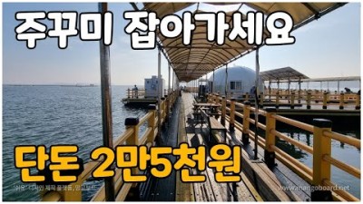 쭈꾸미 시즌, 쭈꾸미 좌대 낚시 갈만한 곳  원산도 해상 낚시 공원 이용시간, 입장료 및 조황 정보