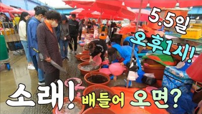 자연산 수산물 시장 소래포구 가볼만한 곳, 인천 소래포구 시장 둘러보기 배들어오면 넘쳐나는 수산물 구매하러 갈만한 곳 소래포구 난전 어시장 정보