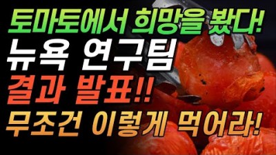 슈퍼푸드 토마토 제대로 알고 먹기, 염증이 사라지는 토마토 100% 섭취하는 방법, 독이 되는 토마토 섭취 주의 해야 할 섭취 방법