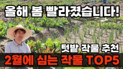 2월에 심을 수 있는 텃밭 노지 작물 