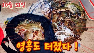 꽃게 해루질 가볼만한 곳, 수도권 영흥도 꽃게 해루질 조황 정보