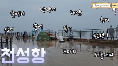 부산 천성항 낚시 전갱이 놀래미 도다리 쏨뱅이 잡을 수 있는 곳 청성항 낚시 정보, 캠핑 낚시 갈만한 곳