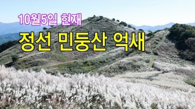 강원도 정선 산행 갈만한 곳 정선 민둥산 억새축제 산행코스 및 축제 일정 정보