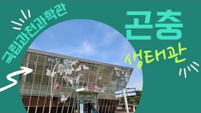 경기도 과천 아이와 함께 가볼만한 곳 국립과천과학관 곤충 생태관 볼거리 많은 아이들이 좋아할만한 곳 정보