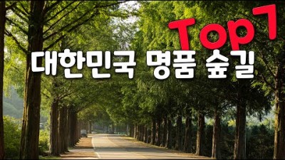 6월 여행지 추천 6월 여행 가볼만한 곳, 국내 대표 명품 숲길 산림욕 힐링 여행 가볼만한 곳, 산책 트레킹 가족여행 할만한 곳