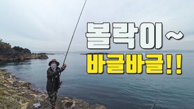경북 포항 낚시 갈만한 곳 호미곶 구룡소 낚시, 포항 최고의 찌낚시 포인트 구룡소 워킹 낚시 포인트 및 정보