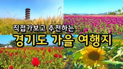 경기도 당일치기 9월10월 가볼만한 가을 꽃나들이 명소, 서울근교 여행 갈만한 곳연천(임진강댑싸리공원,호로고루), 양주 나리농원, 시흥 갯골생태공원, 남양주 물의정원 정보