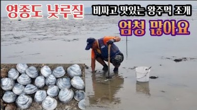 수도권 해루질 가볼만한 곳, 영종도 낮루질 개조개(함박조개) 구멍 보는법 해루질 할만한 곳