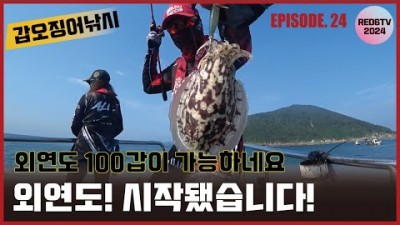 충남 태안 영목항 갑오징어 낚시, 태안 외연도권 선상 갑오징어 낚시 채비,팁 및 조황 정보