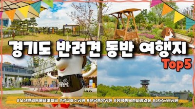 경기도 반려견과 함께 가볼만한 여행지 추천 5곳, 오산 반려동물 테마파크, 광교호수공원, 분당중앙공원, 통복천바람길숲,신당근린공원 반려견과 갈만한곳 정보