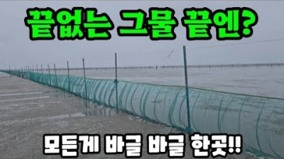 고창 해루질 가볼만한 곳, 만돌 갯벌체험학습장 체험비, 백합, 농어, 동죽 주간 워킹 해루질 정보