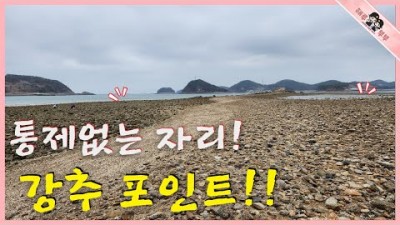 충남 당진 해루질 가볼만한 곳 도비도항 해루질, 도비도항 바지락 낙지 포인트 정보, 당진 봄낙지 바지락 주간 해루질 포인트 및 정보