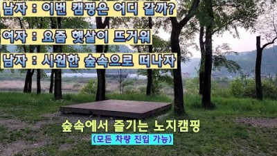 정선 캠핑 가볼만한 곳, 정선 무료 노지 캠핑, 화장실 있는 무료 숲속캠핑 즐기만한 곳 정선 미락숲 무료 노지 캠핑장 정보