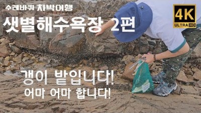 충남 태안 안면도 샛별해수욕장 차박 캠핑 해루질 할만한 곳, 샛별해수욕장 주간 해루질 갱, 고동, 게 해루질 정보