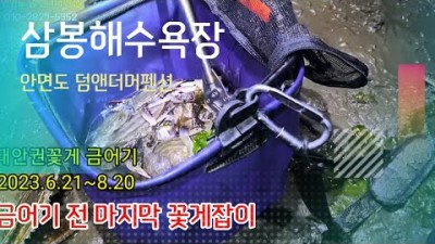 펜션 해루질 체험 가볼만한 곳,충남 태안 안면도 삼봉해수욕장(안면도 덤앤더머펜션) 봄 꽃게 해루질 정보