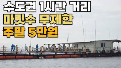 서울근교 수도권 좌대낚시,충남 당진 왜목마을 좌대낚시,자연산 마리수좋은 좌대낚시 추천정보