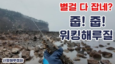 줍기만하면되는 워킹해루질 꿀이자낭!!