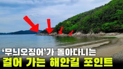 거제도 무늬오징어 낚시, 거제도 무늬오징어 낚시 채비 및 포인트 정보