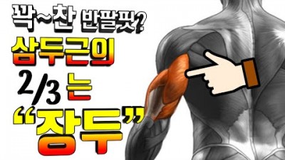 팔운동 팔 사이즈를 키우는 삼두근 홈트 운동법, 반팔티를 채우는 팔운동 팔에서 가장 큰 삼두근의 장두를 자극하는 운동법 정보