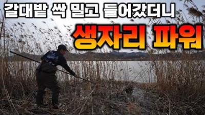 영암 붕어 낚시 가볼만한 곳, 영암 학산천 붕어 낚시 포인트 및 조황 정보