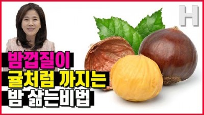밤껍질 쉽게 까는 방법, 밤 효능(노화방지, 면역력높임, 시력보호) 귤처럼 버겨지는 초간단 밤 삶기 방법 정보