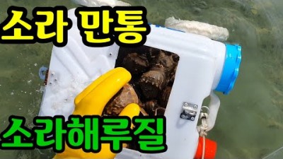 충남 서산 해루질 가볼만한 곳 서산 간월도 해루질, 간월도 소라 수중 해루질 포인트 및 정보