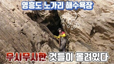 수도권 주간 해루질 가볼만한 곳, 인천 영흥도 해수욕장 해루질, 소라, 대맛, 키조개, 개조개 해루질 정보[해루팡]