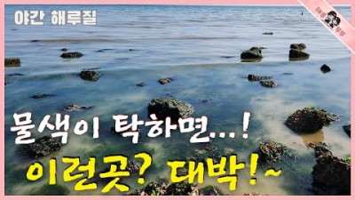 낙지 해루질 방법, 물색 안좋을때 낙지 잡는 방법 낙지 포인트 공략법