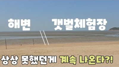 수도권 해루질 인천 하나개해수욕장 동죽 백합 꽃게 해루질 할만한 곳 하나개해수욕장 포내 갯벌체험장 해루질 가볼만한 곳