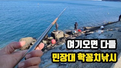 경남 통영 학꽁치 낚시 할만한 곳, 통영 욕지도 민장대 학꽁치 낚시 포인트 및 조황 정보[출처:유튜브-서민낚시]