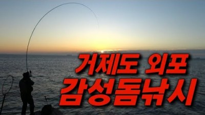 감성돔 벵어돔 낚시 가볼만한 곳, 거제도 외포 낚시 포인트 및 조황 정보