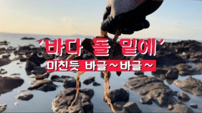 충남 보령 해루질 가볼만한 곳, 낚지, 개조개 줍줍 해루질 포인트 및 조과 정보[아투더빠]