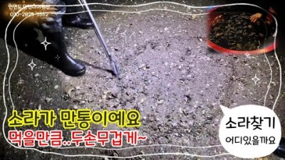 안면도 해루질 가볼만한 곳, 펜션 해루질 체험 갈만한 곳 덤앤더머 펜션 안면도 창기리 소라, 낙지 해루질 정보