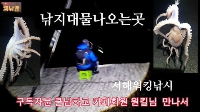 충남 보령 낚시 가볼만한 곳 선촌항 낚시, 선촌항 워킹 낚시, 대물 낙지 조황 정보