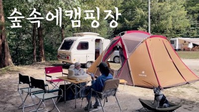 수도권 가을 캠핑장 가볼만한 곳, 경기 포천 숲속에캠핑장 정보