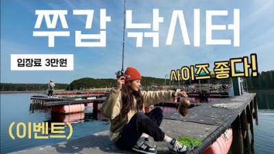 충남 태안 구매항 좌대낚시 가볼만한 곳 킹콩좌대 갑오징어, 쭈꾸미 낚시 조황 정보