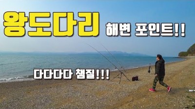 전남 고흥 도다리 낚시, 고흥 도다리 낚시 가볼만한 곳, 봄도다리 왕도다리 낚시하기 좋은 곳 정보, 가족낚시 캠핑 하지 좋은 해변 정보