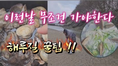 해루질 잘 하는 꿀팁, 꽝 없는 해루질 방법, 워킹 수중 해루질 방법 정보