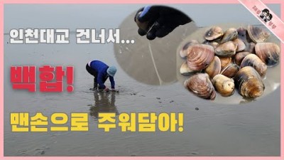 인천 수도권 해루질 가볼만한 곳, 백합 줍줍 워킹 해루질  갈만한 곳 마시안해변 해루질 정보