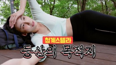 청계산 등산 정보