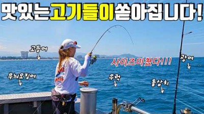 강릉 사천진항 선상낚시 가족낚시 포인트 및 조황 정보, 선상 락피시 낚시 채비 및 조황 정보