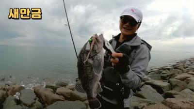 우럭낚시  새만금  우럭 낚시 채비, 포인트, 미끼 및 조황정보[상상입질]